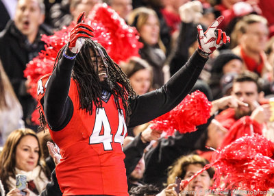 Bulldogs OLB TJ Stripling celebrates the victory with UGA Fans