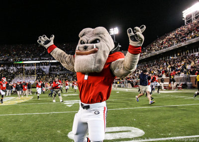 Georgia Mascot Hairy Dawg celebrates on Grant Field