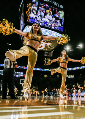 Yellow Jackets Dance Team Members cheer along the baseline