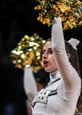 Yellow Jackets Cheerleader during a timeout