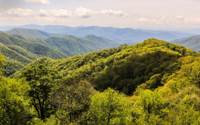 View from Newfound Gap Road in Great Smoky Mountains National Park