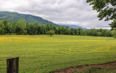Cades Cove in Great Smoky Mountains National Park