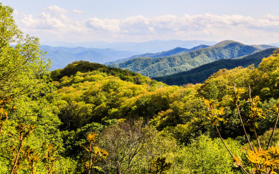 View from Newfound Gap Road in Great Smoky Mountains National Park