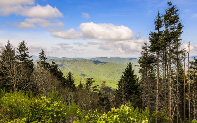 View from Newfound Gap Road in Great Smoky Mountains National Park