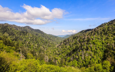 View from Newfound Gap Road in Great Smoky Mountains National Park