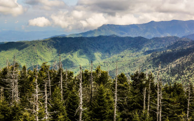 View from Clingmans Dome in Great Smoky Mountains National Park