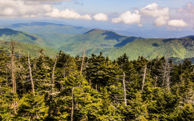 View from Clingmans Dome in Great Smoky Mountains National Park