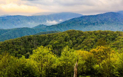 View from Newfound Gap Road in Great Smoky Mountains National Park