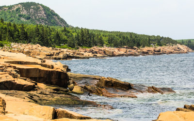 The coast of Maine in Acadia National Park