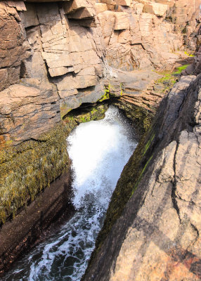 Thunder Hole roars as the sea crashes inland in Acadia National Park