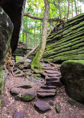 Ritchie Ledges in Cuyahoga Valley National Park (this is the opposite view from image #1 above)