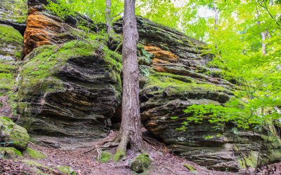 Ritchie Ledges in Cuyahoga Valley National Park