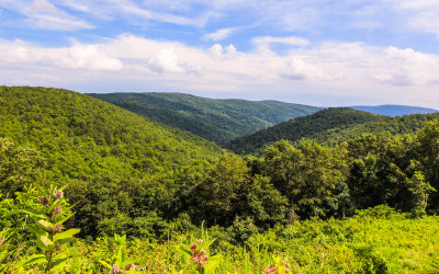 View from a scenic overlook in Shenandoah National Park