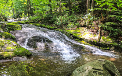 Rose River in Shenandoah National Park