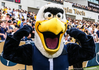 Georgia Southern Mascot Gus flexes his muscles on the sidelines