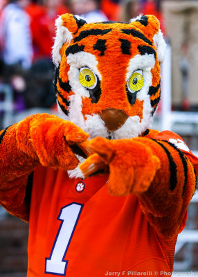 Clemson Mascot The Tiger on the sidelines