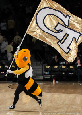 Georgia Tech Mascot Buzz carries the flag onto the floor