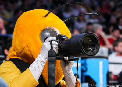 Jackets Mascot Buzz proves that Nikon photographers can be easily replaced