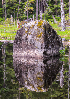 An erratic boulder (dropped by a glacier) along the Bartlett Cove Trail in Glacier Bay National Park