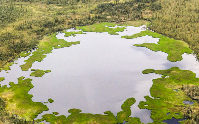 One of the many small lakes in Gates of the Arctic National Park