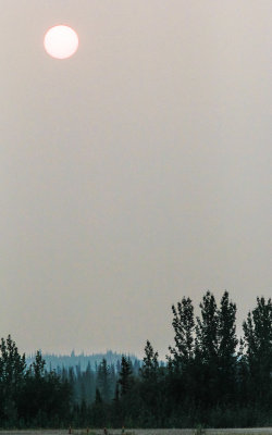 The sun through the smoke at 11:21 p.m. above the Arctic Circle in Bettles Alaska