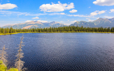 Wilderness view near Talkeetna Alaska