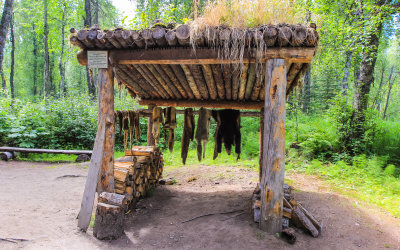 Trappers pelt drying stand at the trappers cabin site along the Chulitna River