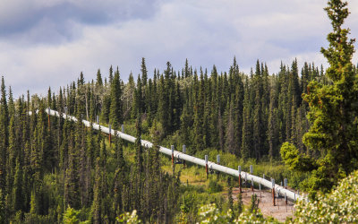 Alaskan Transcontinental Pipeline makes its way over a hill along the Richardson Highway