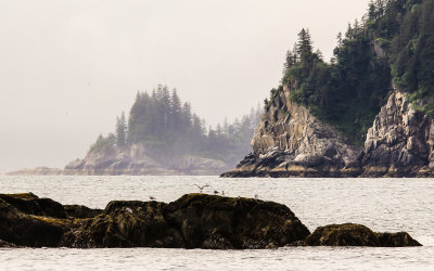 Rocky peninsulas in the fog in Kenai Fjords National Park