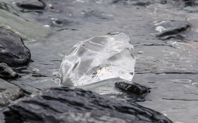 A piece of glacier ice in Exit Creek on the Outwash Plain in Kenai Fjords National Park