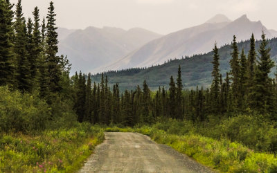 Along the McCarthy Road in Wrangell-St Elias National Park