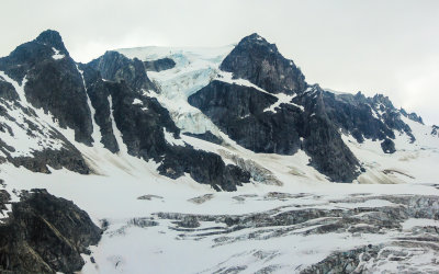 Thick glacier surrounds a rocky peak near Shamrock Glacier