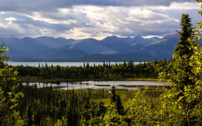 View over Beaver Pond on the Tanalian Falls Trail in Lake Clark National Park