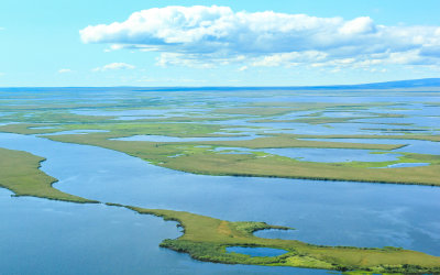 Marsh area between Ambler and Kotzebue