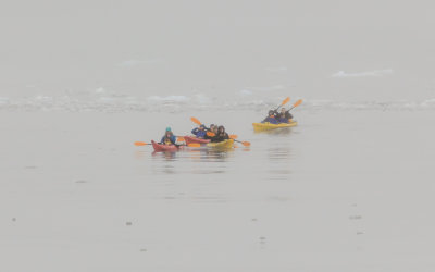 Kayakers in the fog near Aialik Glacier in Kenai Fjords National Park
