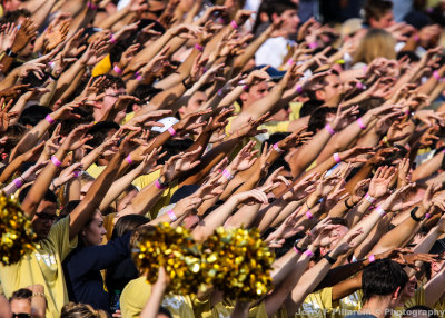 Georgia Tech Fans cheer their team on during a break in the action