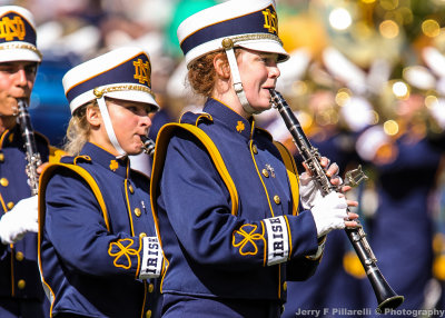The Band of the Irish marches prior to the game