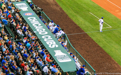 The Cubs dugout at Wrigley Field