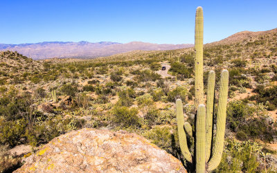 View of the Catalina Mountains from the Javelina Rocks in Saguaro National Park