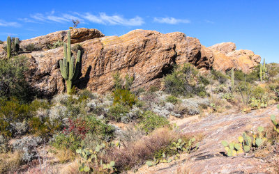 The Javelina Rocks in Saguaro National Park