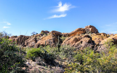 The Javelina Rocks in Saguaro National Park