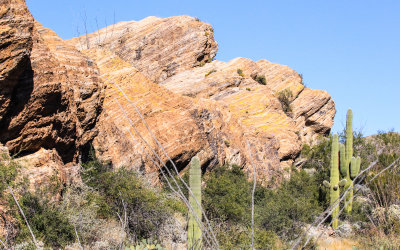 The Javelina Rocks in Saguaro National Park