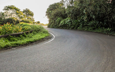 S Curve along the Road to Hana