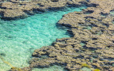 The waters in Hanauma Bay on Oahu