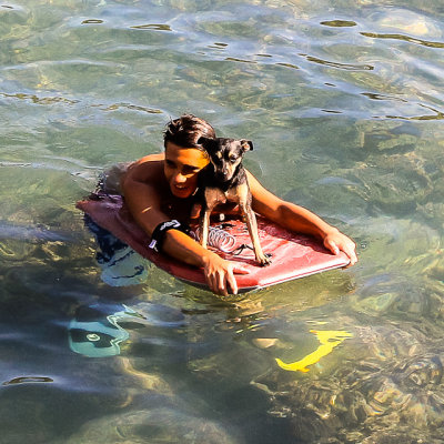 A boy and his dog on a boogie board in the waters off of Waikiki Beach