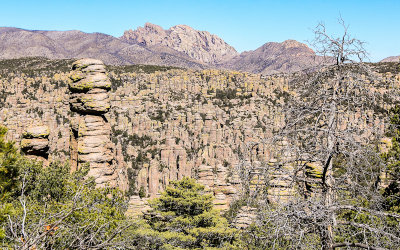 View along the Heart of Rocks Loop Trail with Cochise Head in the distance in Chiricahua National Monument