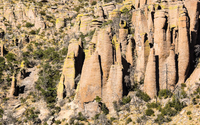 Spires in Rhyolite Canyon in Chiricahua National Monument