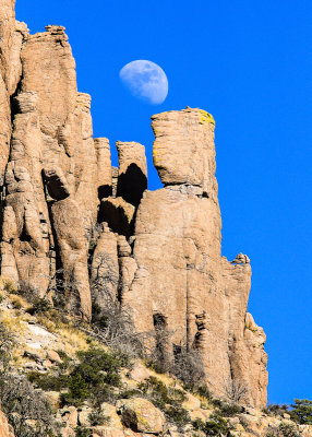 2016 Chiricahua National Monument  Arizona 