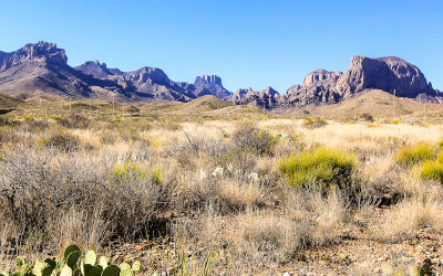 The Chisos Mountain Range with the Chihuahuan Desert in the foreground in Big Bend National Park