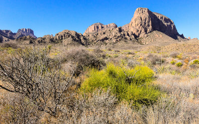 The Chisos Mountain range in Big Bend National Park